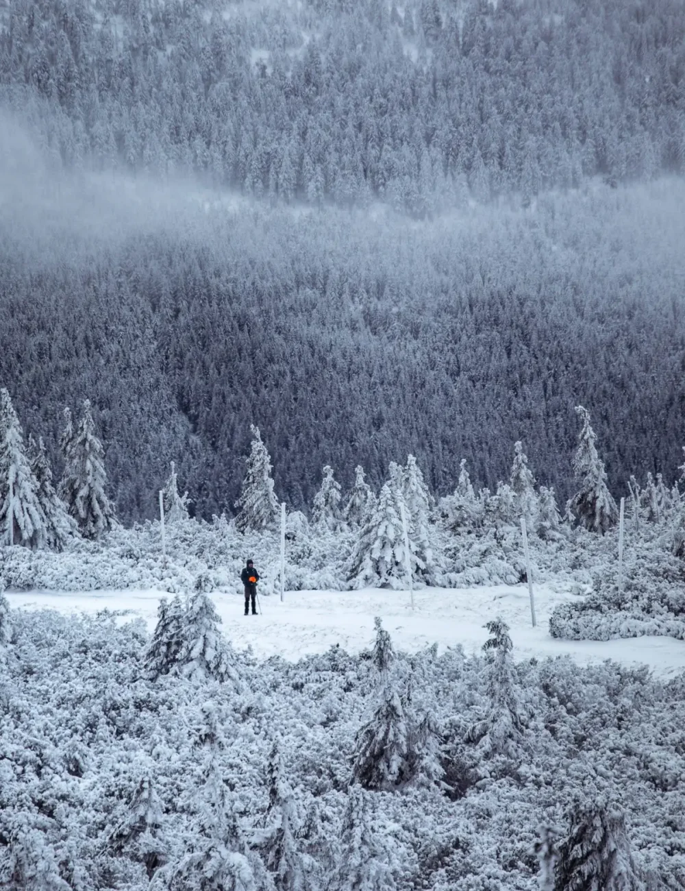 marek-piwnicki-pynyarS51a0-unsplash